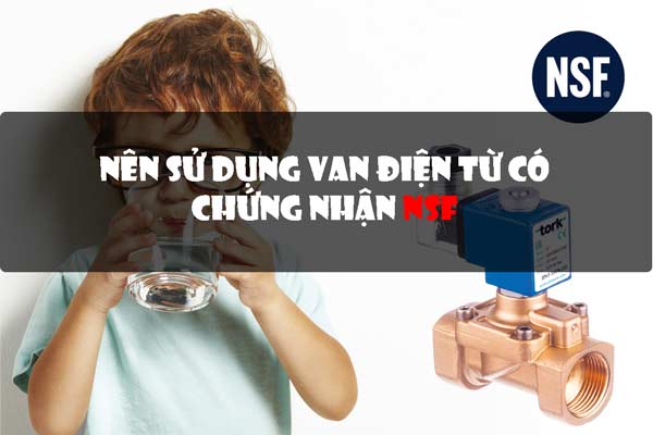 van-dien-tu-nsf