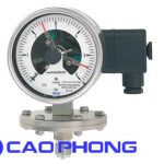 Đồng hồ đo áp suất WIKA 3 Kim Màng