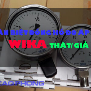 dong-ho-wika