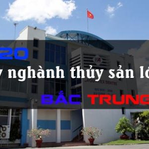 cong-ty-thuy-san