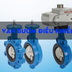 van-buom-dien