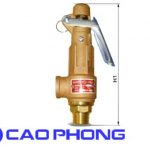 Van An Toàn Đồng Nối Ren Loại Có Tay Gạt