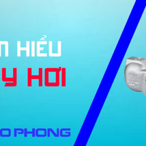 bay-hoi
