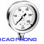 Đồng Hồ Đo Áp Suất TEMA/ Ý