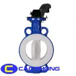 Van Bướm Seat PTFE