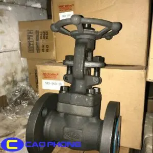 Van cổng thép hàn DR Taiwan