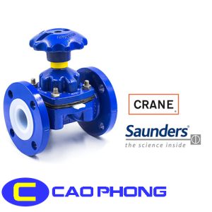 Van Màng Saunders