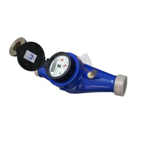 Đồng Hồ Nước Actaris Multimag