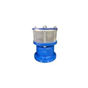 Rọ Bơm Gang Đúc JOEUN Nối Bích PN16