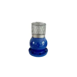 Rọ Bơm Nước Gang Samwoo PN10/PN16
