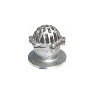 Rọ Bơm Inox 304 ERA Nối Bích JIS10K