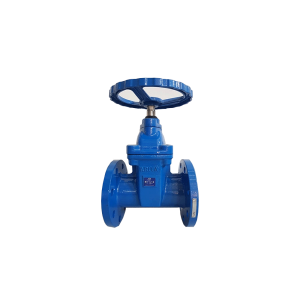 Van Cổng Gang Arita Model DIG-NR-PN16 Sơn Phủ Epoxy