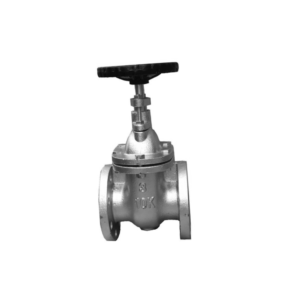 Van Cổng Ty Chìm Arita Model CG-NR-J1 / JIS 10K