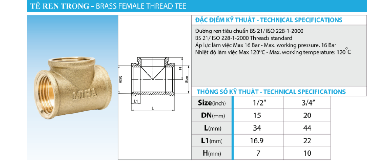 te-dong-ren-trong-mh