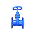 Van Cổng Gang DN100 (Phi 110) Samwoo