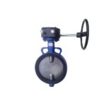 Van Bướm Tay Quay Rinco BG301V/BG301VF