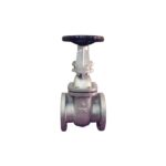 Van Cổng Gang RINCO FIG 073R