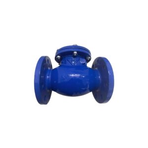 Van một chiều lá lật DN200 ( Phi 220) Samwoo