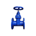Van cổng gang DN65 (Phi76) Samwoo PN16 