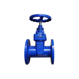 Van cổng gang DN65 (Phi76) Samwoo PN16 