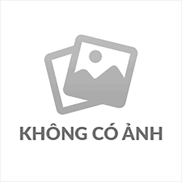 Van Bướm Điều Khiển Điện