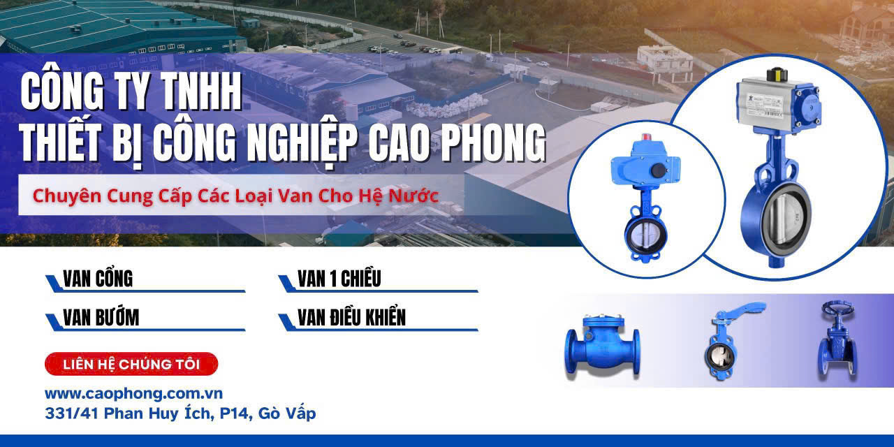 Lựa chọn rọ bơm gang chất lượng RINCO FIG 032AR tại An Thành Phát