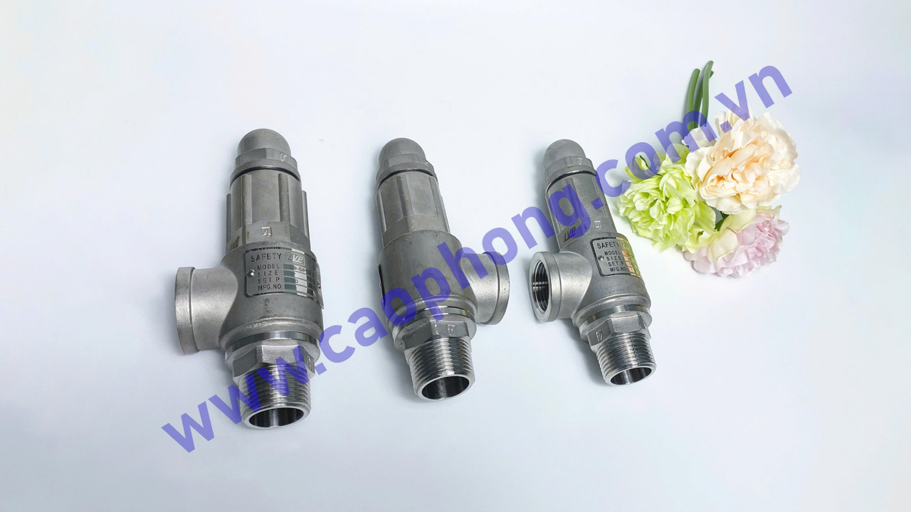 An Thành Phát cung cấp van an toàn inox DN15 nối ren không tay LVP chính hãng