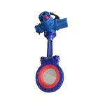 Van Cổng Gang Điều Khiển Điện Samwoo 220 VAC