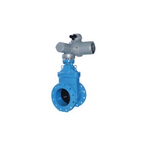 Van cổng động cơ điện EMD - Shinyi