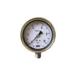 Đồng Hồ Đo Áp Suất WISE P256 Toàn Thân Inox