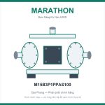 Bơm màng Marathon M15B3P1PPAS100