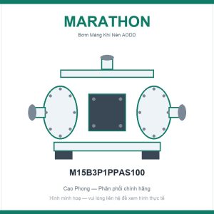 Bơm màng Marathon M15B3P1PPAS100