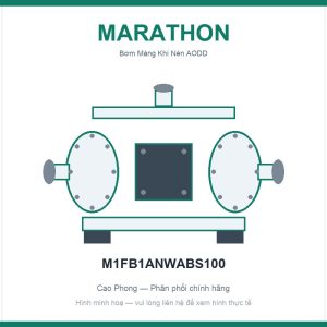 Bơm màng Marathon M1FB1ANWABS100